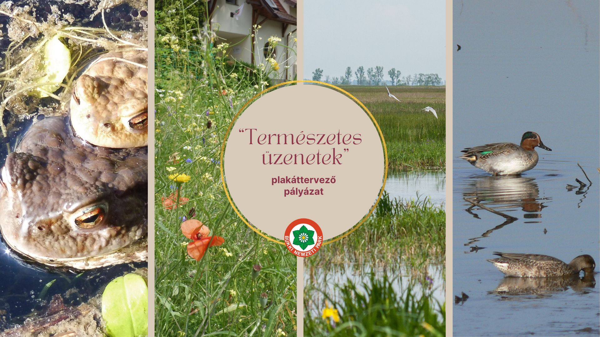 természetes üzenetek2_1920.jpg